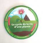 cycle de vie d'une plante