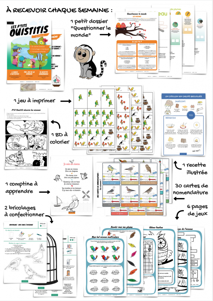 Les P'tits Ouistitis découvrent les oiseaux
