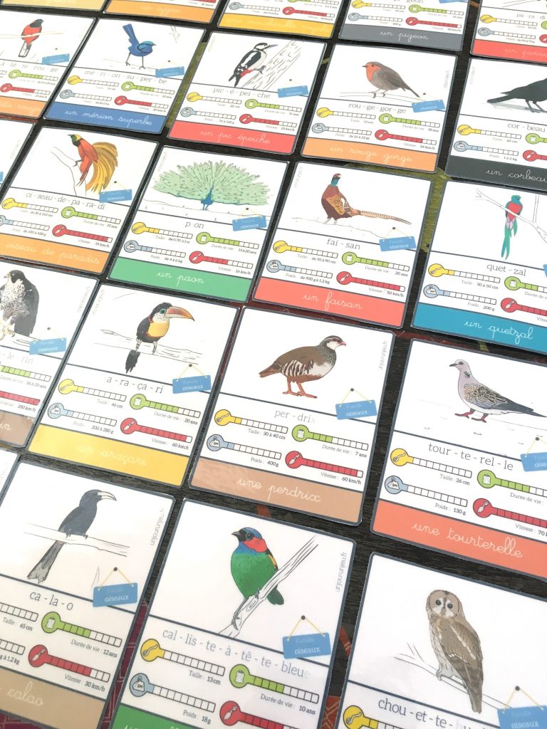 Les P&rsquo;tits Ouistitis et les oiseaux