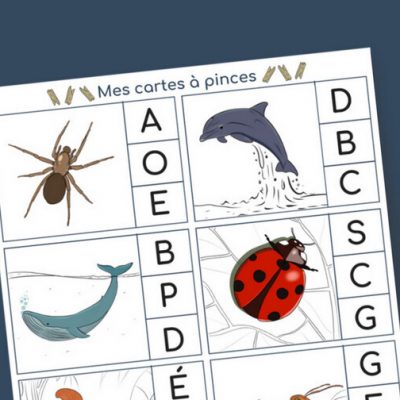 Cartes à pince : combiner la motricité fine à d&rsquo;autres apprentissages