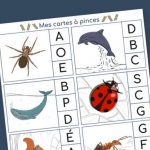 Télécharger gratuitement nos cartes à pince