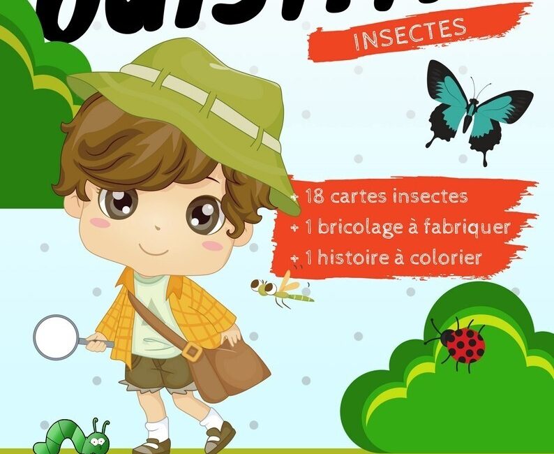 Les Petits Ouistitis et les insectes