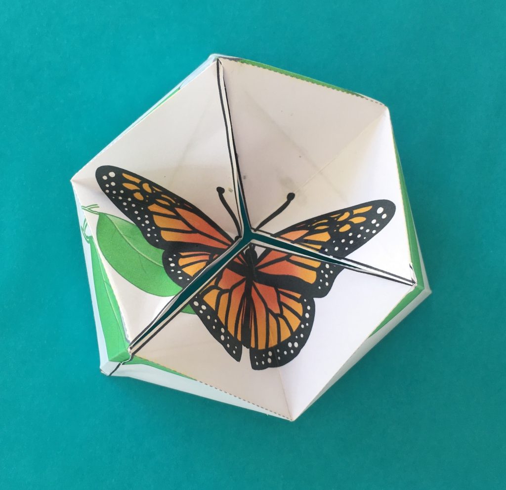 Les P&rsquo;tits Ouistitis et les insectes