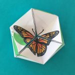 Les P&rsquo;tits Ouistitis et les insectes