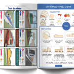 CARTES TRAIN ET RECETTE - LES P'TITS OUISTITIS