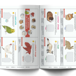 Les P&rsquo;tits Ouistitis et les animaux de compagnie