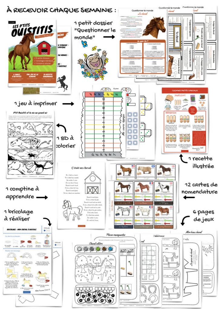 Aperçu les ptits ouistitis les chevaux