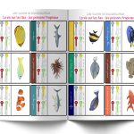 Les Poissons tropicaux