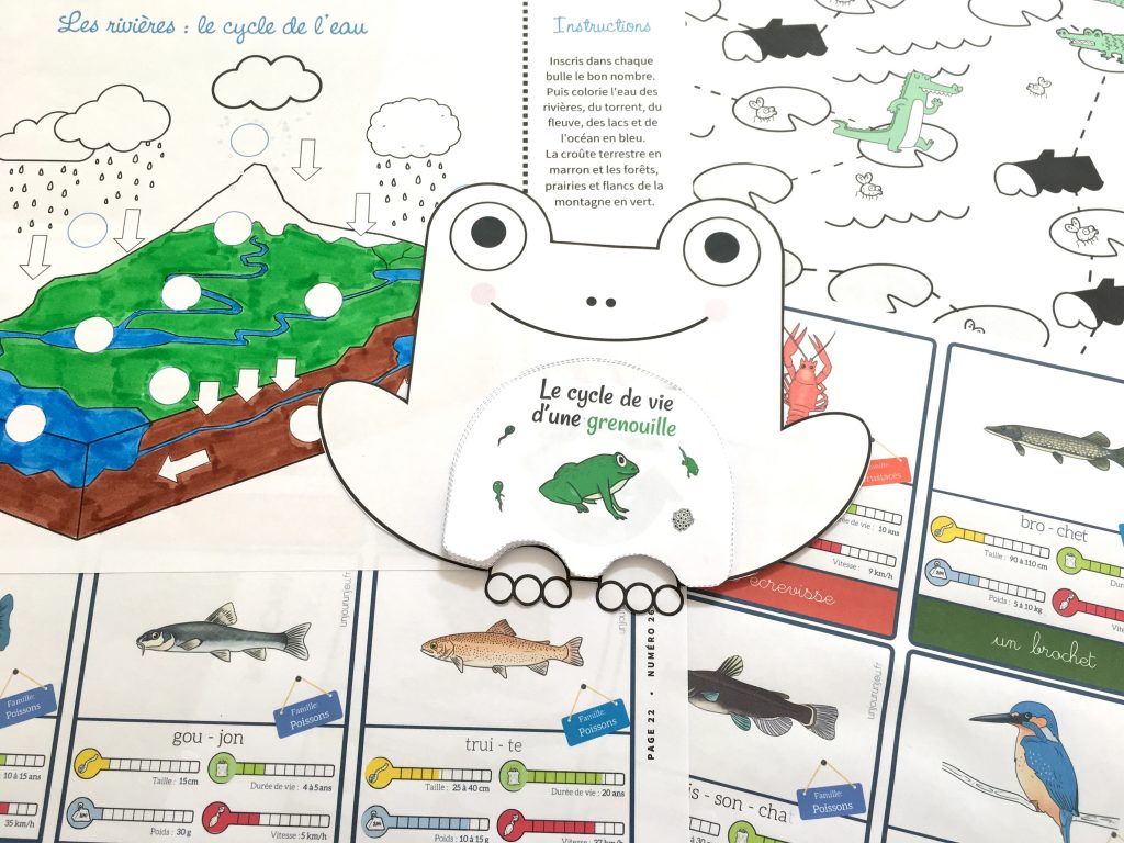 les P'tits Ouistitis découvrent la vie dans les rivières