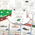 les P'tits Ouistitis découvrent la vie dans les rivières