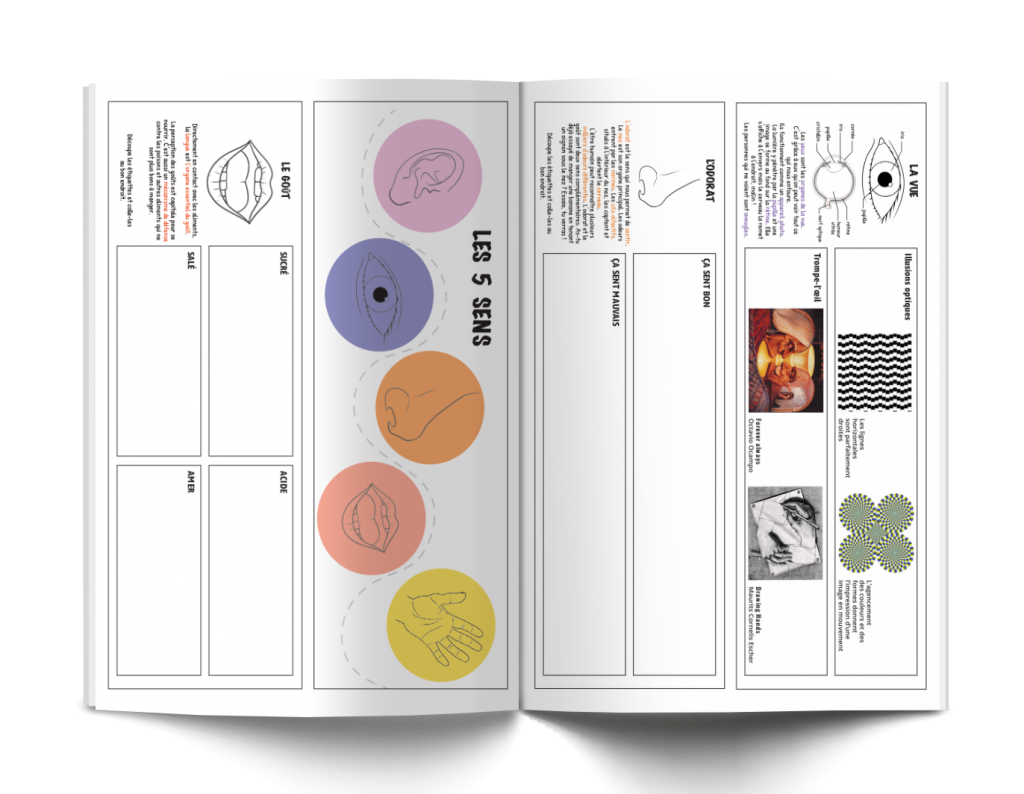 Les P&rsquo;tits Ouistitis découvrent les 5 sens