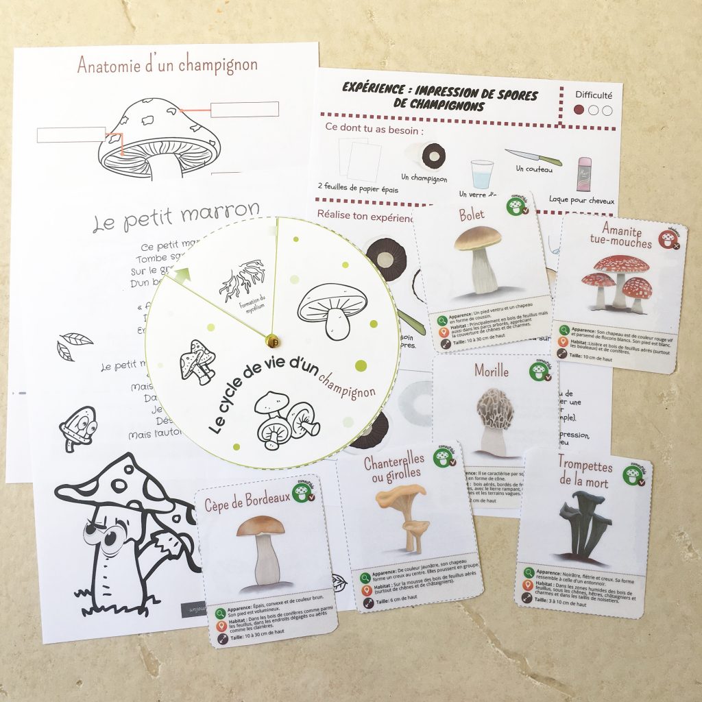 Les P'tits Ouistitis et les champignons