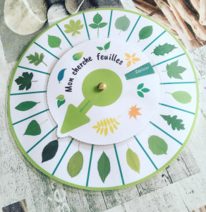 Mon cherche feuilles des arbres de la forêt