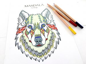 Coloriages mandalas animaux à télécharger, pour enfants et adultes