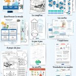 Les P&rsquo;tits Ouistitis et le cycle de l&rsquo;eau
