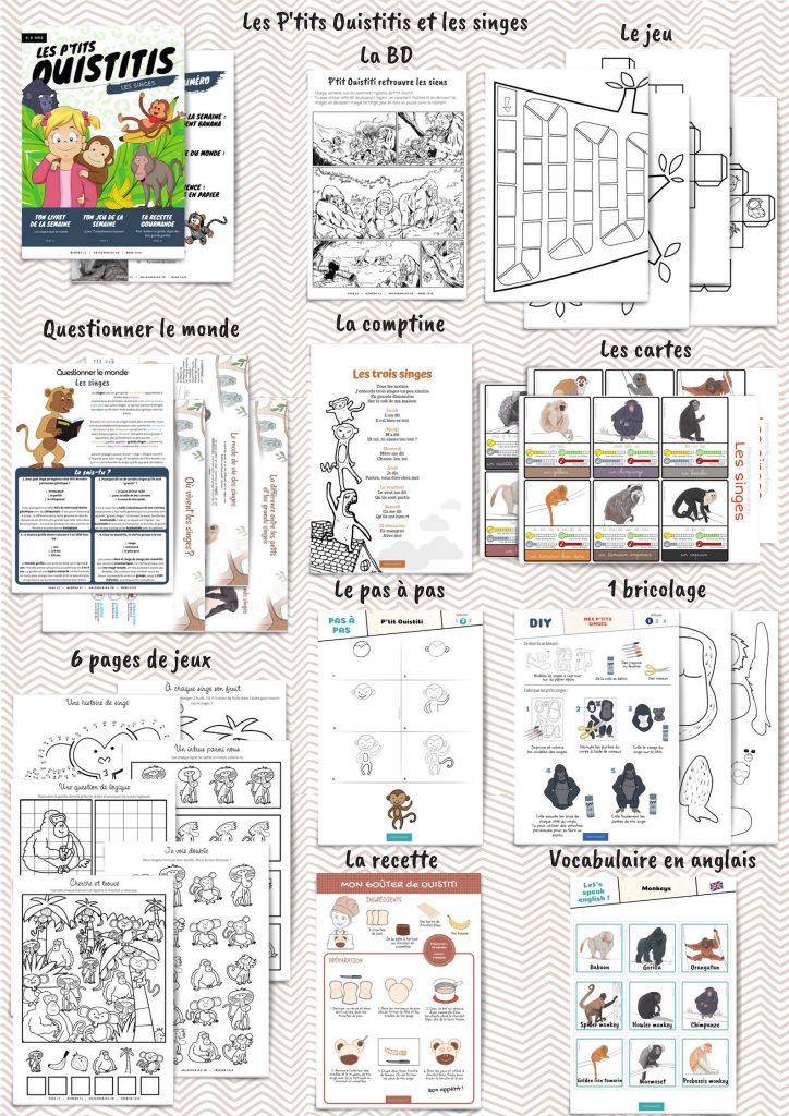 Les P&rsquo;tits Ouistitis et les singes