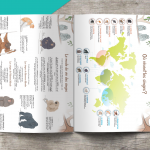 Les P&rsquo;tits Ouistitis et les singes