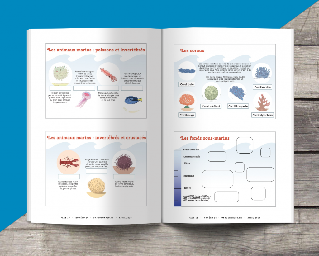 Les P&rsquo;tits Ouistitis et les animaux marins