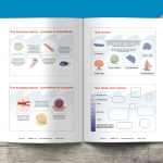 Les P&rsquo;tits Ouistitis et les animaux marins