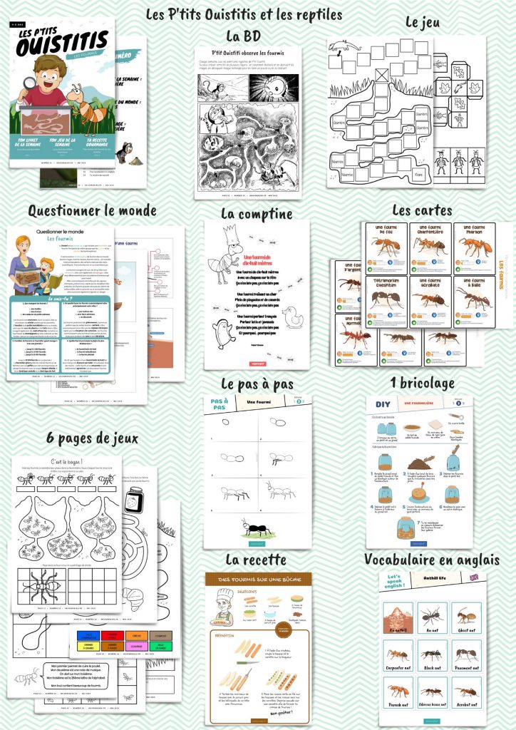 Les P&rsquo;tits Ouistitis et les fourmis