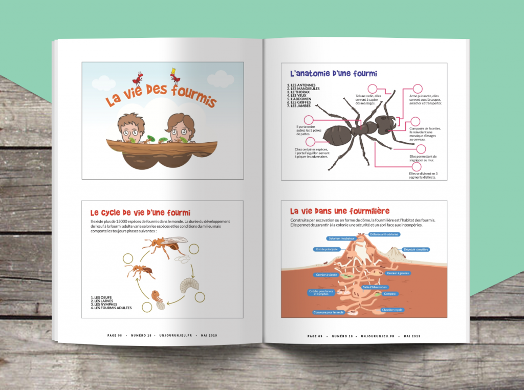 Les P&rsquo;tits Ouistitis et les fourmis