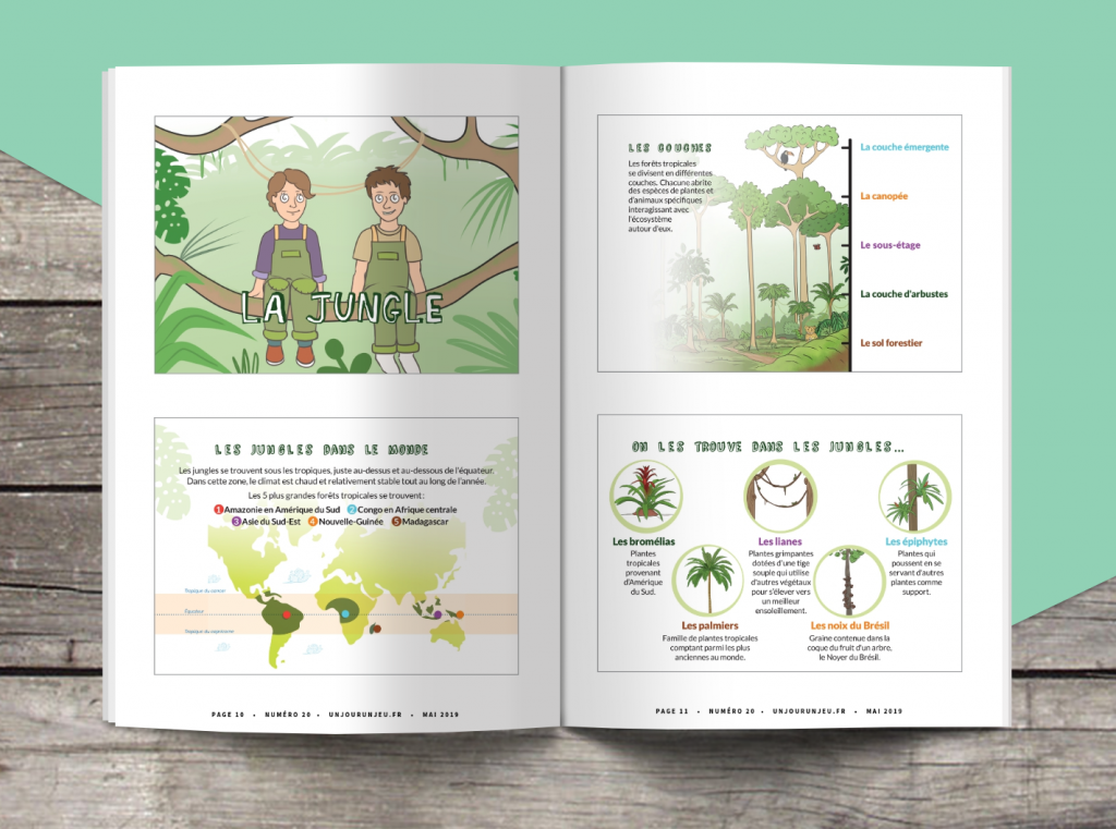 Les P&rsquo;tits Ouistitis explorent la jungle