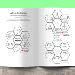 Les P&rsquo;tits Ouistitis et les énergies renouvelables