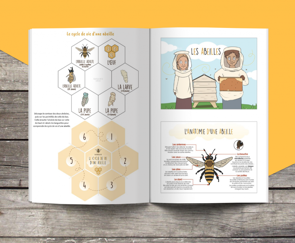 Les P&rsquo;tits Ouistitis et les abeilles