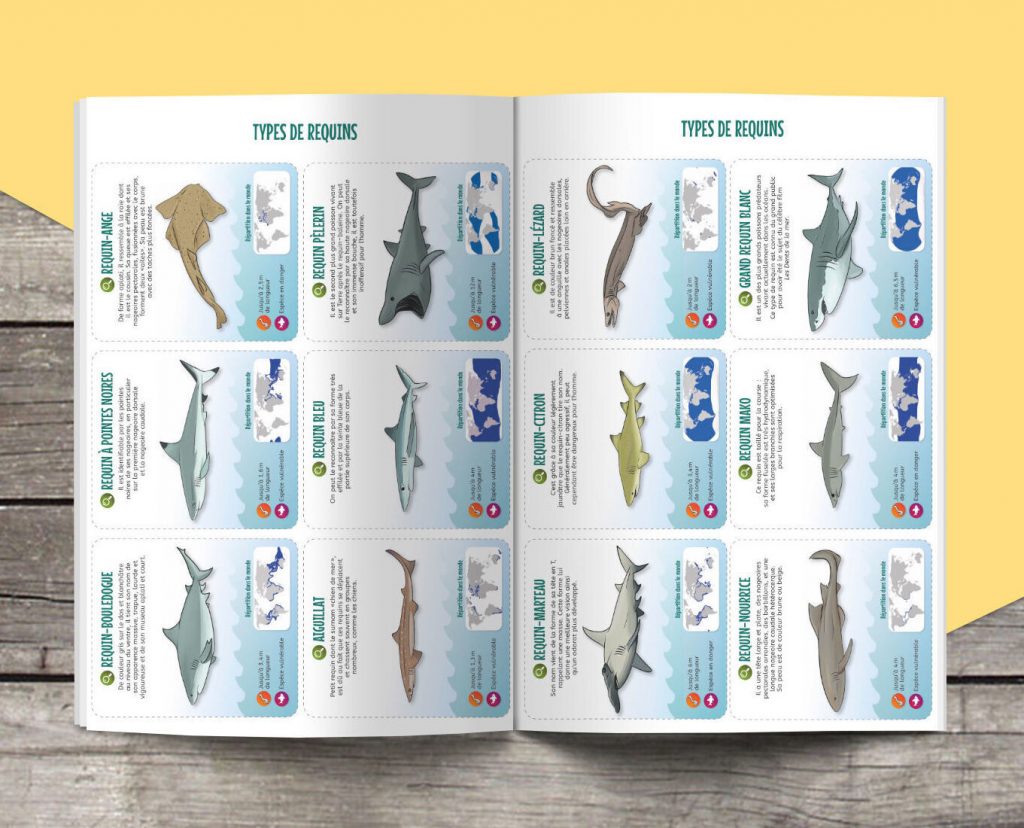 Les P&rsquo;tits Ouistitis et les requins