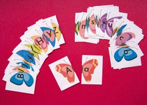 Mon double alphabet des papillons