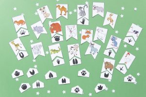 Empreintes animaux : étape 6