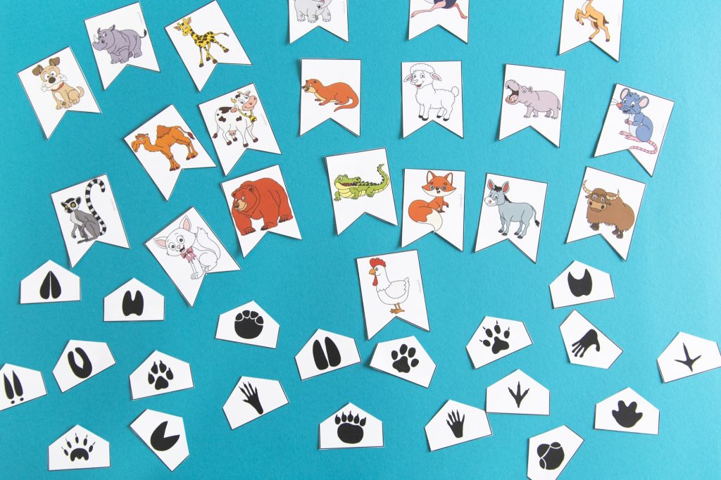 Empreintes animaux : étape 4