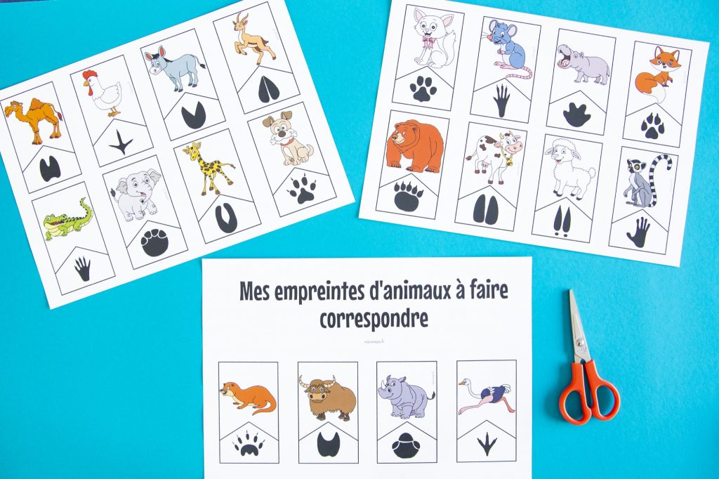Empreintes animaux : étape 1