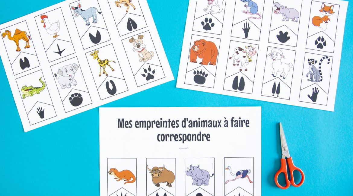 Empreintes animaux : étape 1