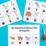 Empreintes animaux : étape 1