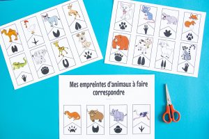 Empreintes animaux : étape 1