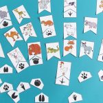 Empreintes animaux : étape 5