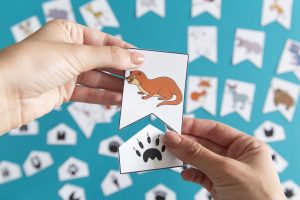 Mes empreintes d’animaux à faire correspondre