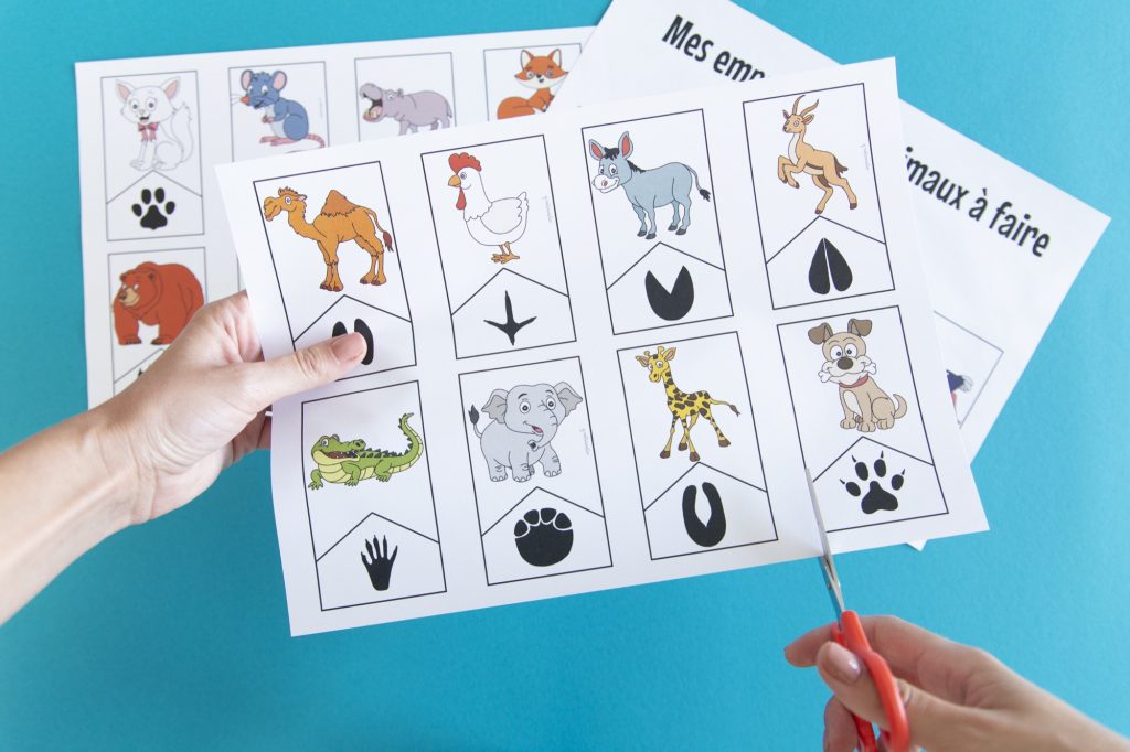 Empreintes animaux : étape 2