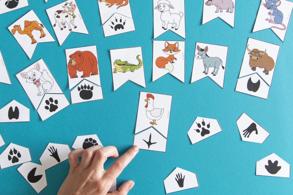 Empreintes animaux : étape 3