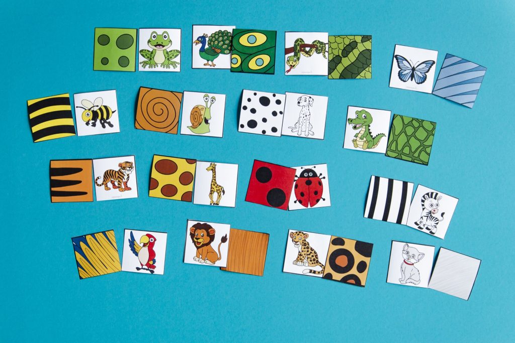 Peaux et animaux - étape 5