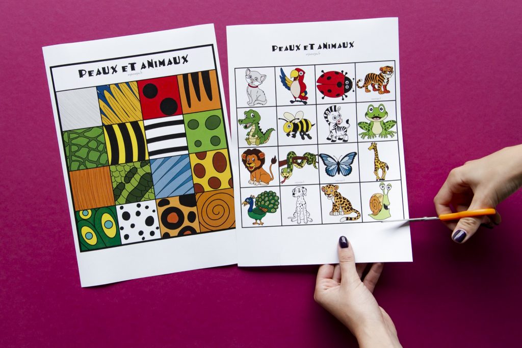 Peaux et animaux - étape 2