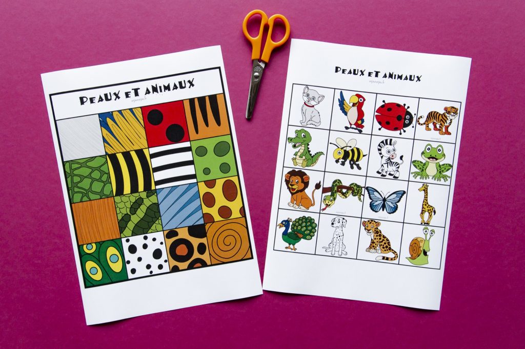 Peaux et animaux - étape 1