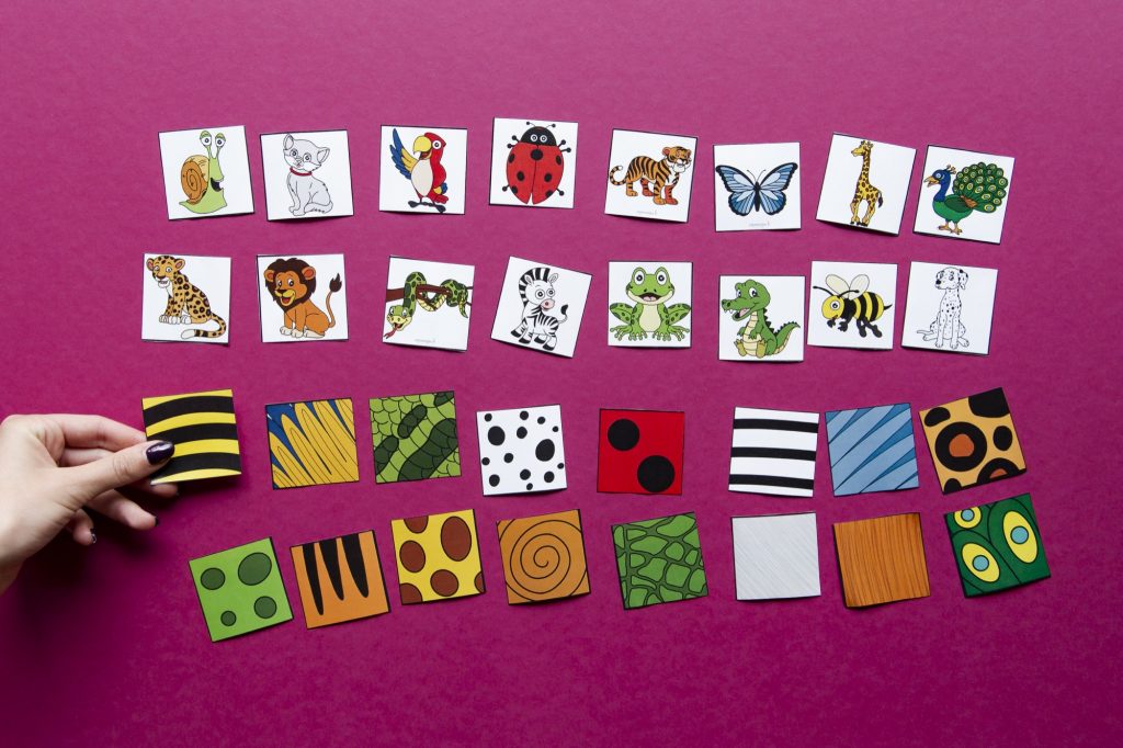 Peaux et animaux - étape 3