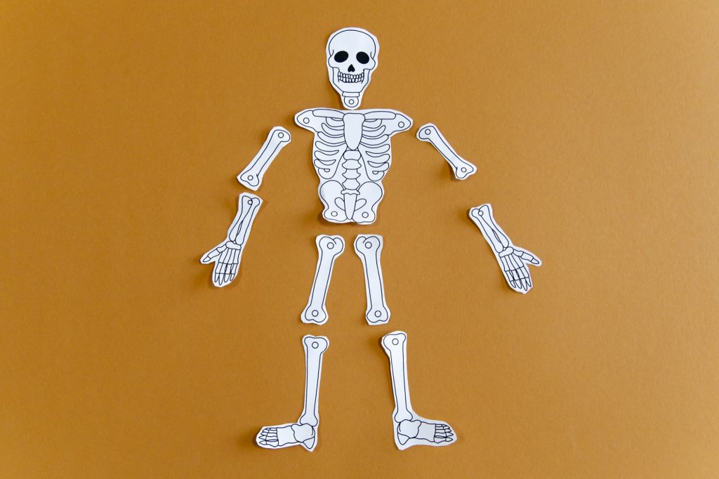 Mon squelette à faire danser - étape 3
