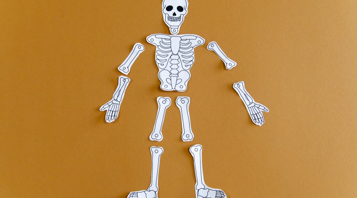 Mon squelette à faire danser - étape 3