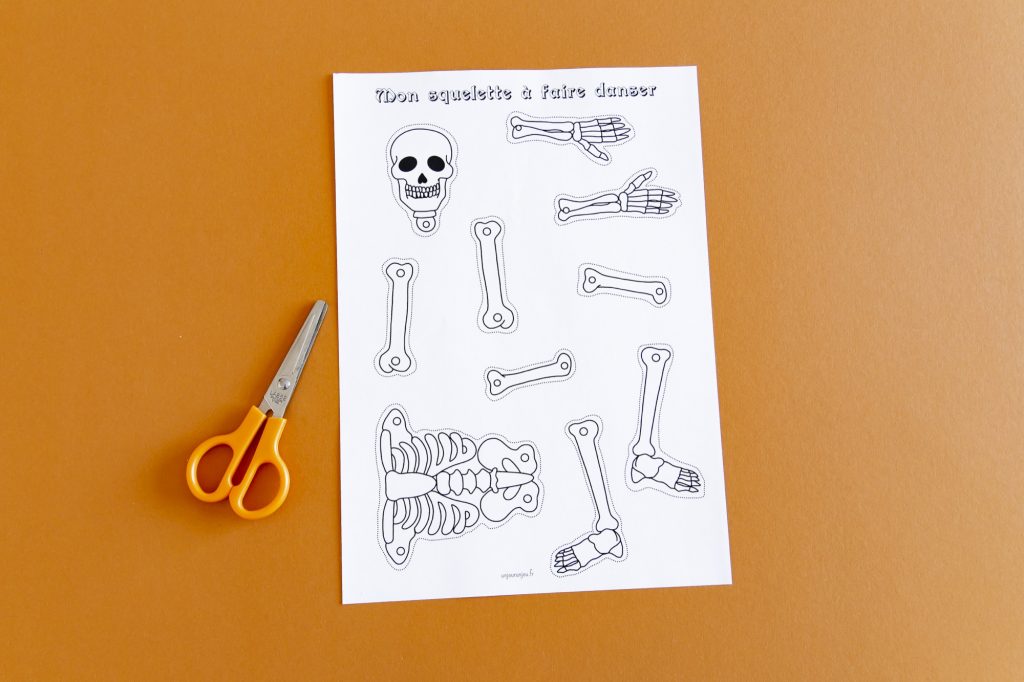 Mon squelette à faire danser - étape 1