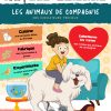 L'Académie des ouistitis et les animaux de compagnie