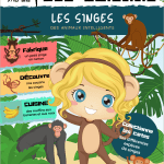 L'Académies des Ouistitis et les singes