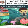 L'Académie des ouistitis à la découverte les animaux marins